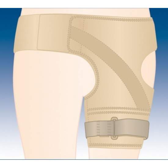 LA CEINTURE DE RETENUE fémorale