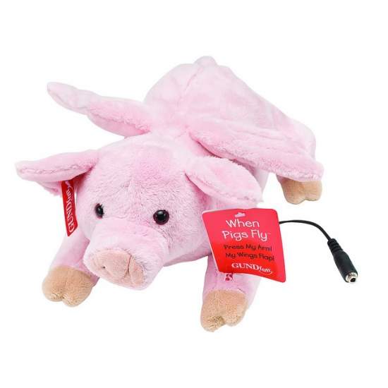 Flying Pig