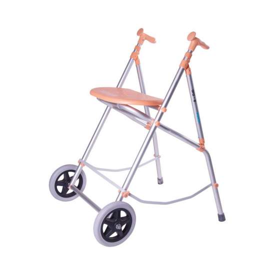 Oudere wandelaar ARA E