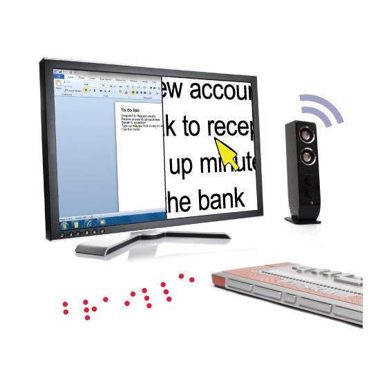 SuperNova screen reader and magnifier
