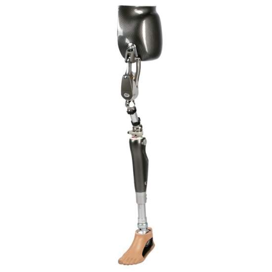 Helix 3D hip joint