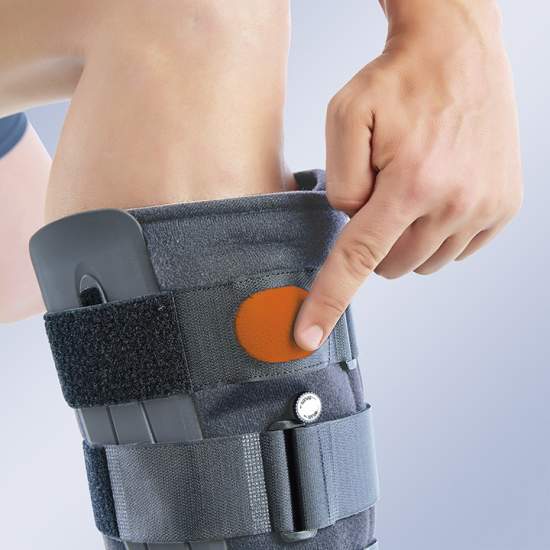 GEARTICULEERDE LUCHT WALKER 2