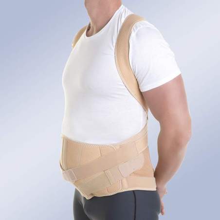 ORTHOSIS DORSOLUMBAR MODULARER TAYLOR