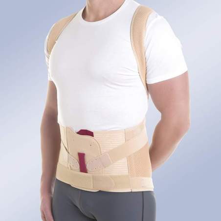 ORTHOSIS DORSOLUMBAR MODULAIRE TAYLOR