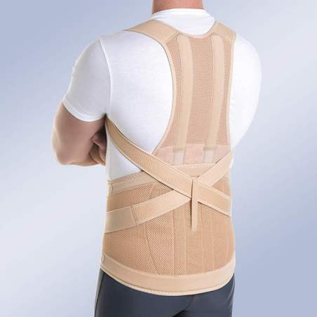 ORTHOSIS DORSOLUMBAR MODULARER TAYLOR