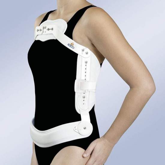 Iperestensione FRAME di Jewett J001 2