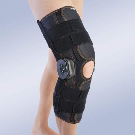 LONG flessione del ginocchio e l'estensione