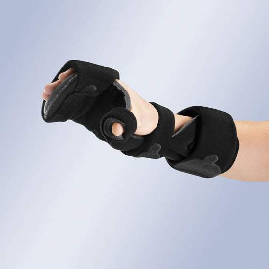 PALMAR-THUMB HAND... 2