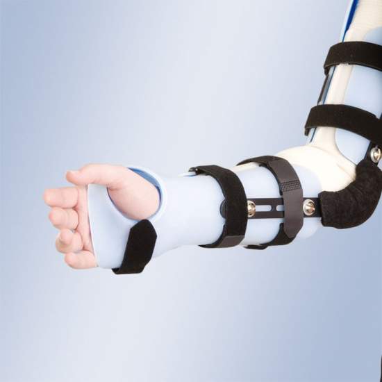GOMITO BRETELLE Palmar... 2