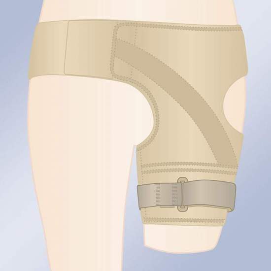 RESTRAINT BELT FEMORAL PROSTHESIS