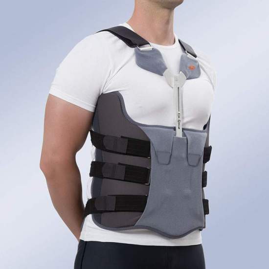 Bivalve Corset