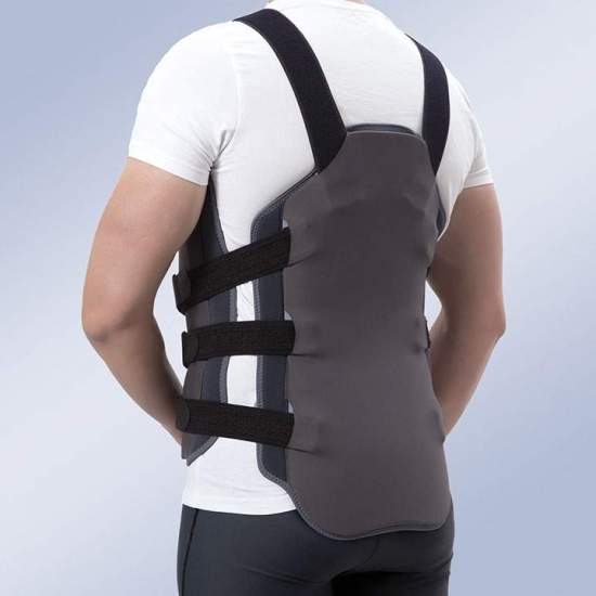 Corset bivalve 2