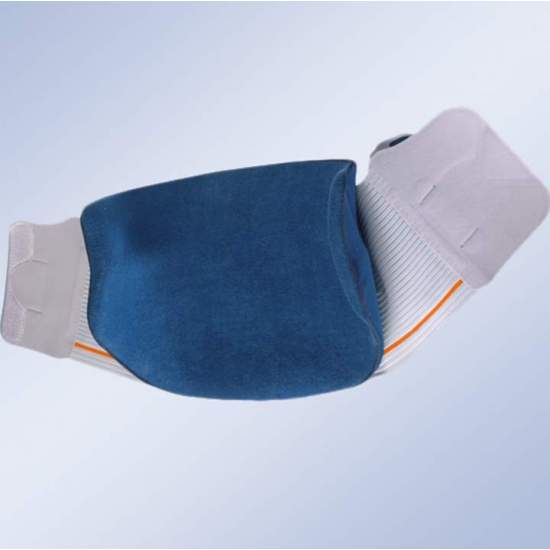 EVOTEC FORTE COURT ou LONG... 2