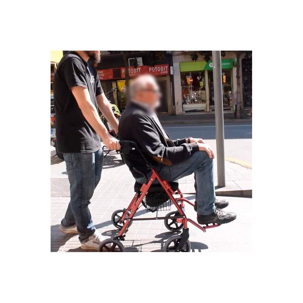 Andador para adulto andadores con asiento ruedas frenos silla ancianos Nuevo