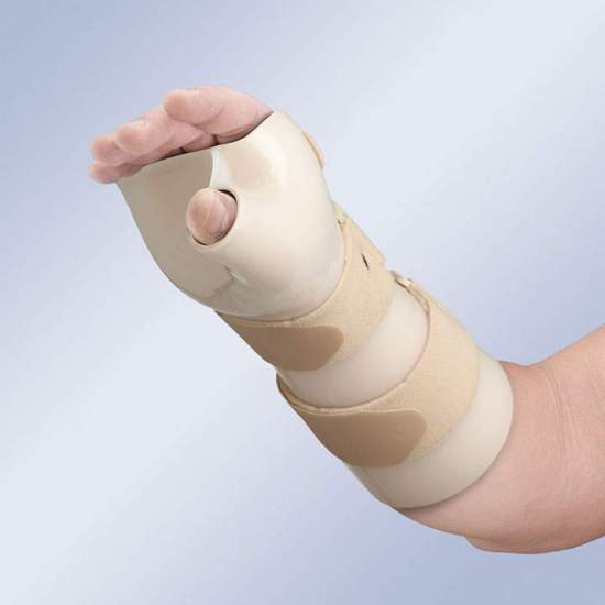 THERMOPLASTIC WRISTBAND... 2