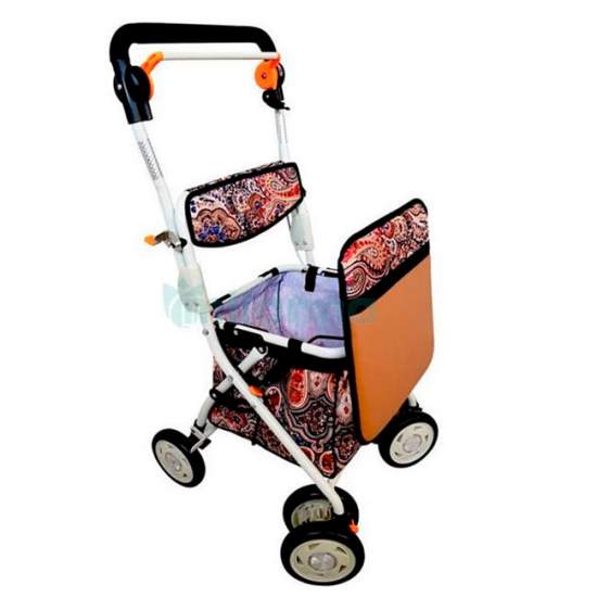 Carrinho de compras Walker...