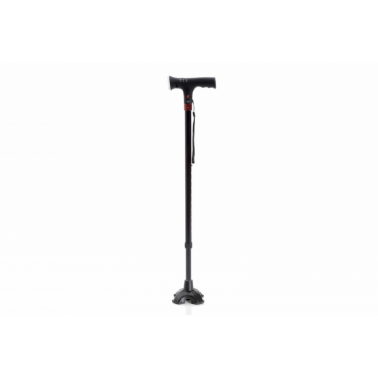 Cane with light and alarm