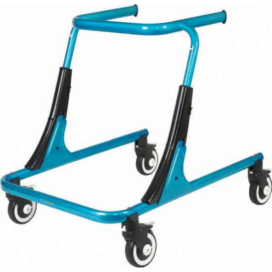 Trekker Gait Instrutor