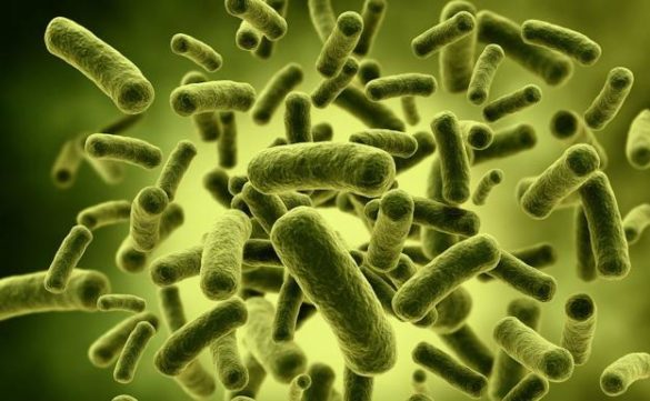 las-bacterias-ultrarresistentes-matan-a-miles-de-espanoles