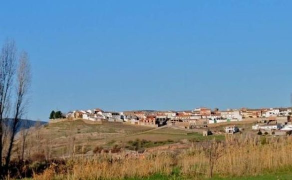 miles-de-gallinas-mueren-en-albacete-por-maniobras-de-aviones-militares