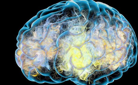 la-relacion-entre-el-virus-del-herpes-y-el-alzheimer