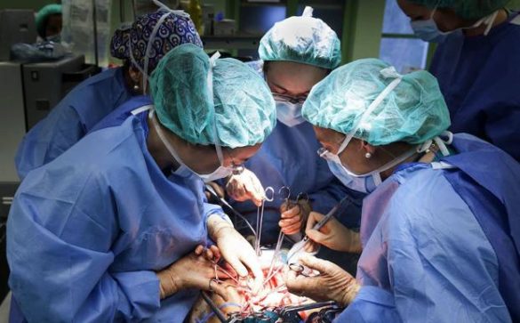 una-capsula-radiactiva-en-los-tumores-para-guiar-al-cirujano