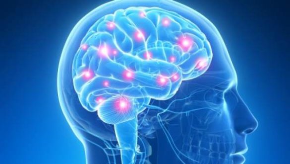 crean-un-8220marcapasos-cerebral8221-para-tratar-la-epilepsia-y-el-parkinson