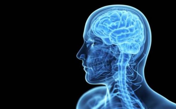 desarrollan-un-marcapasos-cerebral-para-tratar-la-epilepsia-y-el-parkinson