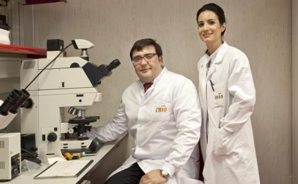 investigadores-del-cnio-confirman-el-nexo-entre-el-cancer-de-prostata-y-el-cancer-de-mama