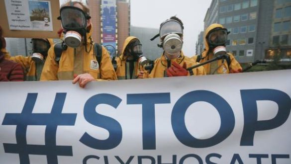 el-parlamento-europeo-quiere-una-reevaluacion-cientifica-de-los-efectos-cancerigenos-del-glifosato