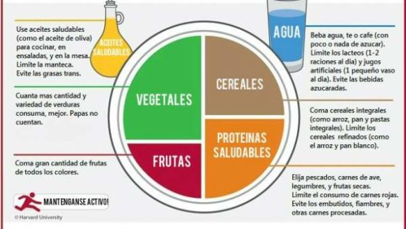 un-estudio-insta-a-llevar-una-dieta-8216flexitariana8217-con-menos-carne-y-azucar-para-evitar-la-degradacion-del-planeta