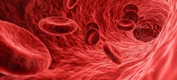 Glóbulos rojos de la sangre