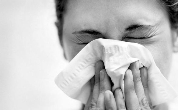 la-mortalidad-por-la-epidemia-de-la-gripe-en-espana-se-eleva-un-6-sobre-lo-esperado