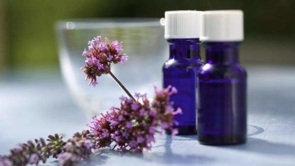 las-mujeres-y-los-jovenes-utilizan-mas-la-homeopatia-segun-ulises