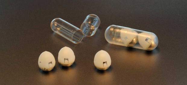 Prototipos de píldoras de insulina compuestas por cápsulas biodegradables.