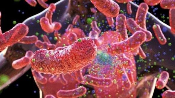 la-oms-recomienda-acelerar-la-prevencion-de-la-tuberculosis-en-la-union-europea-para-erradicarla-en-2030