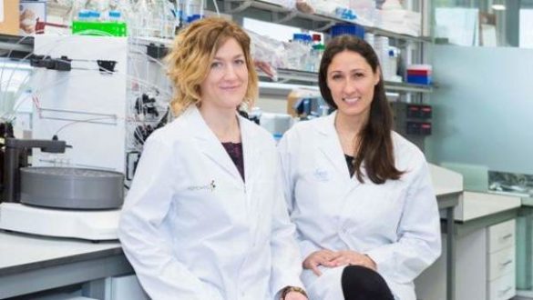 desarrollan-un-nuevo-farmaco-para-inhibir-un-gen-clave-en-la-mayoria-de-tumores