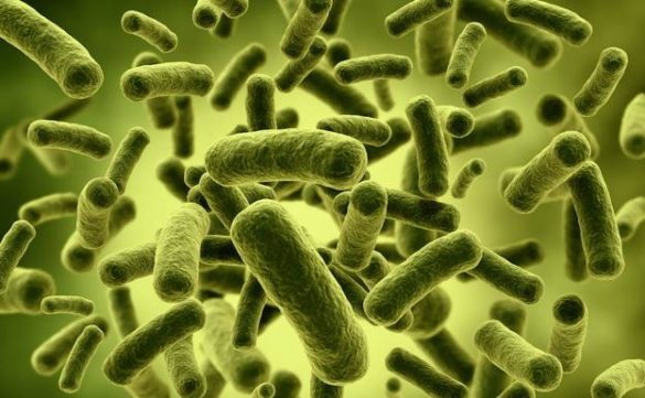alertan-de-que-en-2050-la-mortalidad-por-infecciones-podria-superar-al-cancer