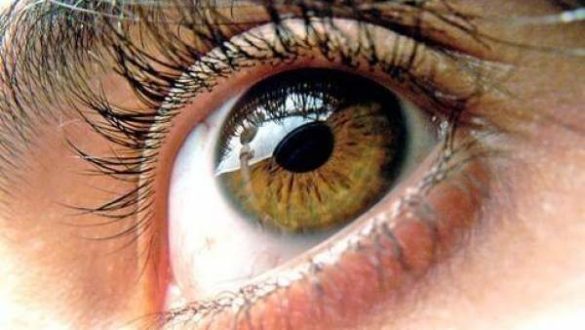 un-gel-que-se-adhiere-al-ojo-podria-reparar-lesiones-de-cornea-sin-cirugia