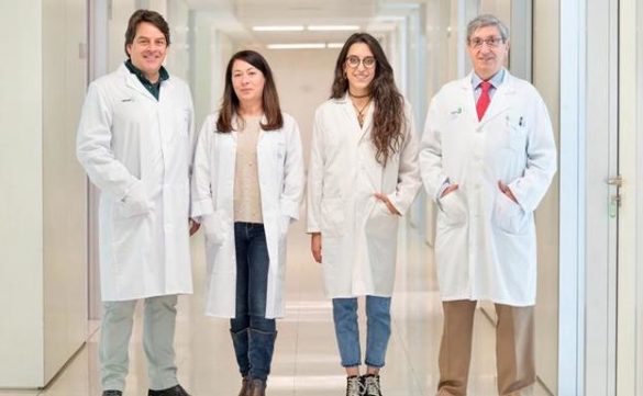 el-csic-y-el-hospital-nacional-de-paraplejicos-patentan-un-compuesto-quimico-que-mejora-la-movilidad-tras-una-lesion-medular