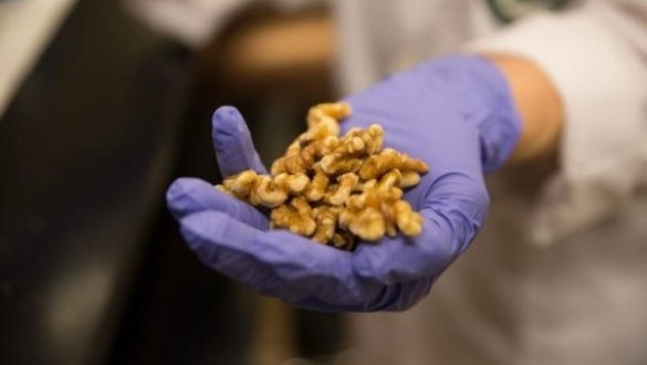 un-estudio-demuestra-que-las-nueces-reducen-el-crecimiento-de-los-tumores-de-mama