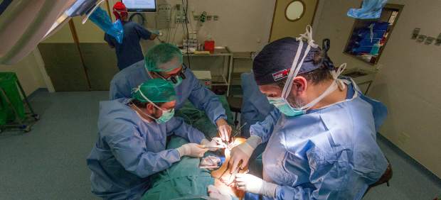 Reparación de un aneurisma de aorta con un injerto de tejido criopreservado