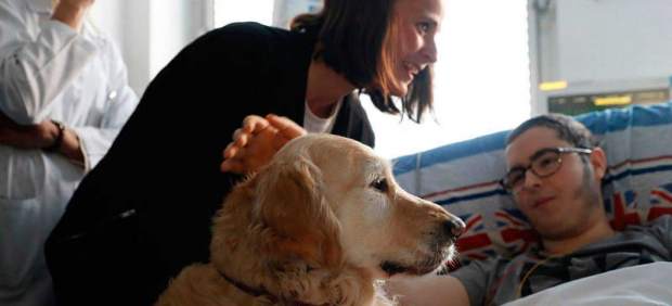 Un perro para la UCI pediátrica de un hospital