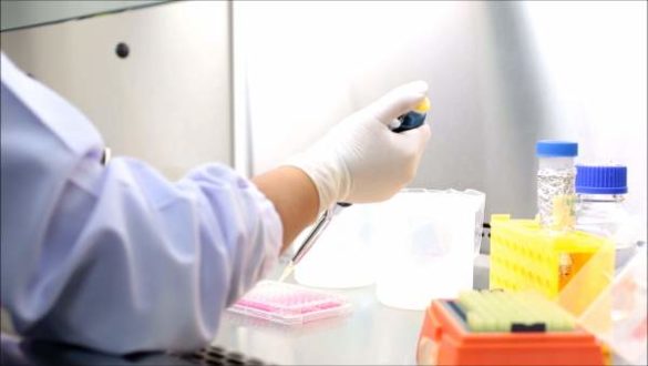 cribado-de-cancer-de-colon-el-mejor-aliado-contra-el-tumor-mas-frecuente