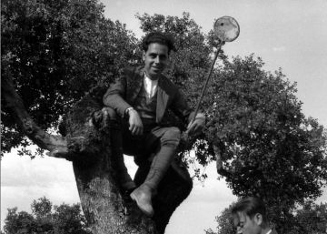 el-experto-en-mosquitos-que-fotografio-la-espana-de-la-miseria