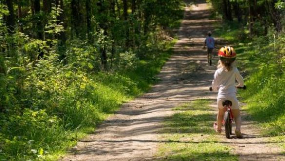 los-ninos-mas-expuestos-a-la-naturaleza-tienen-mejor-salud-mental-de-adultos