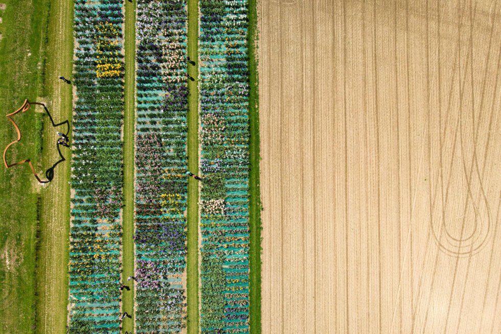 Vista aérea de la 64º edición de la exposición floral en los Jardines del Château de Vullierens (Suiza).