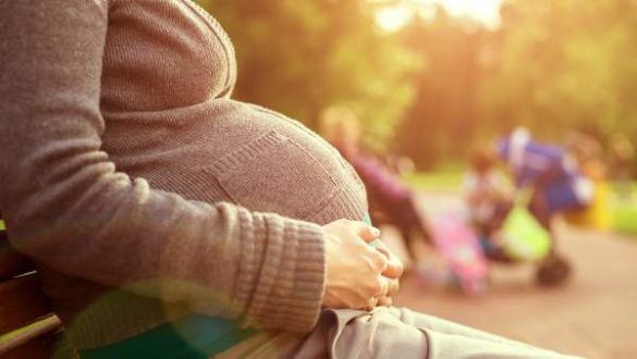 la-viabilidad-de-un-embarazo-depende-de-las-bacterias-en-la-vagina-y-el-utero