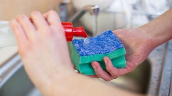 los-estropajos-de-cocina-la-nueva-herramienta-para-combatir-la-resistencia-a-los-antibioticos