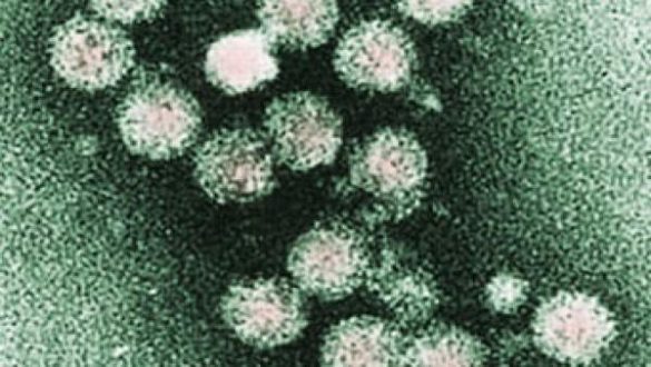 espana-a-solo-un-paso-de-erradicar-la-hepatitis-c-en-personas-con-vih